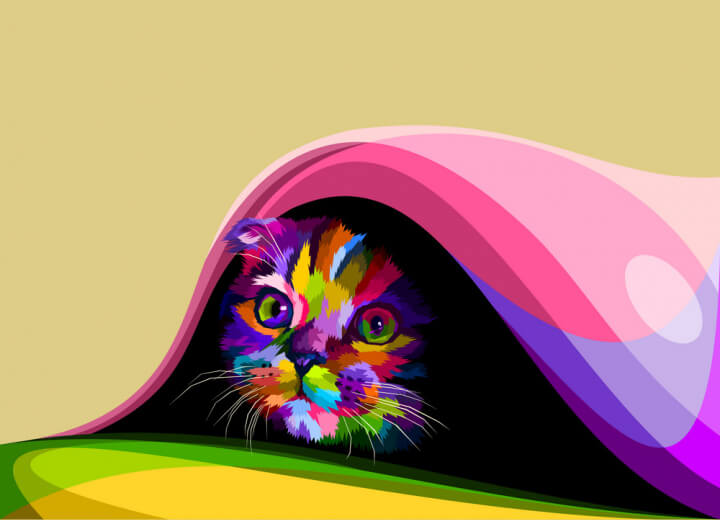 Convert Image to Vector